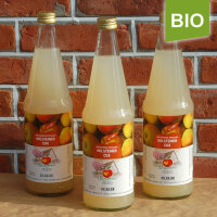 Bio-Apfelsaft Holsteiner Cox 0.7l
