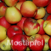 Bio-Saftäpfel Nicoter 13kg