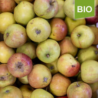 Mostäpfel, 13kg Bio-Cox Orange-Saftäpfel|truncate:60