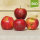 LOGO-Apfel / rot BIO / krumme Äpfel mittelgroß