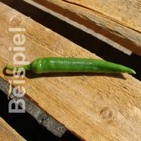 LOGO-Peperoni grün