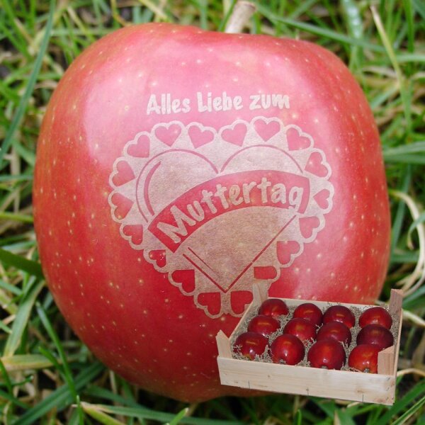 Liebesapfel rot / Muttertag / 12 Äpfel Holzkiste / Kiste ohne Branding