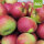 Bio-Äpfel 3kg-Steige / Freya Apfelneuheit