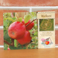 Ansichtskarte Wellant Apfel