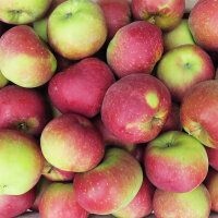 Bio-Äpfel 5kg-Steige / Freya Apfelneuheit