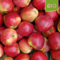 Bischofshut Äpfel bio 5kg|truncate:60