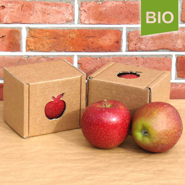 Bio-Apfel Einzelbox / Wellant