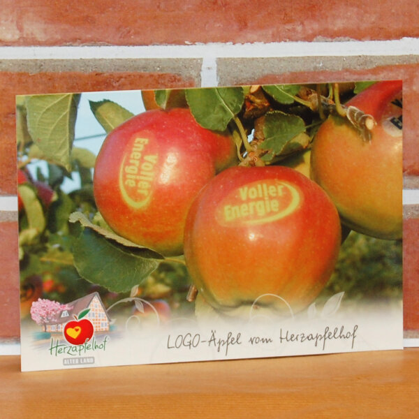 Ansichtskarte LOGO-Äpfel