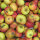 Mostäpfel 13kg Bio-Alkmene-Saftäpfel