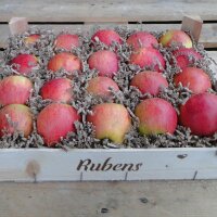 Rubens Bio-Äpfel 3kg-Kiste|truncate:60