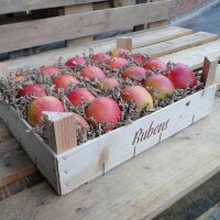 Rubens Bio-Äpfel 3kg-Kiste