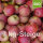 Bio-Äpfel 7kg-Steige / Riesen Boskoop