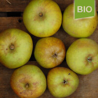 Kanadarenette Bio-Äpfel 5kg|truncate:60