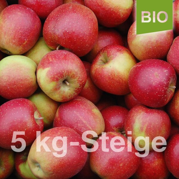Bio-Äpfel 5kg-Steige / Wellant