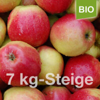 Bio-Äpfel 7kg-Steige / Riesen Jonagold