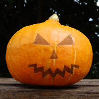 Kürbis-Gesicht Paul der Halloween-Fan