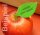 roter Apfel mit grünem Werbeblatt (HKS64)