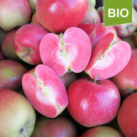 Rotfleischige Bio-Äpfel 5kg|truncate:60