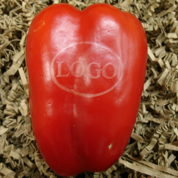 LOGO-Paprika rot