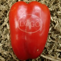 LOGO-Paprika rot|truncate:60