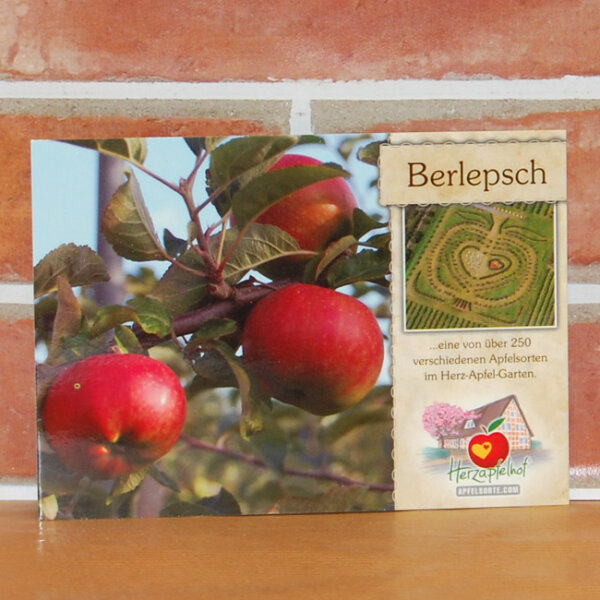 Ansichtskarte Berlepsch Apfel