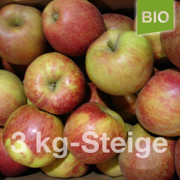 Bio-Äpfel 3kg-Steige / Boskoop