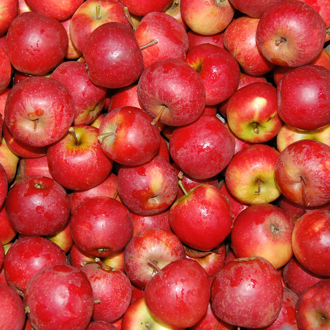 - 10 kg, rote Kleine Äpfel € der Mini-Snack 29,90