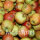 Mostäpfel 13kg krumme Früchte / Jonagored