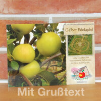 Grußkarte Gelber Edelapfel|truncate:60