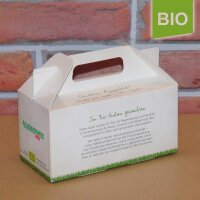 Box mit 2 roten Bio-Äpfeln / Box indiv. Druck 4c / Smilieäpfel