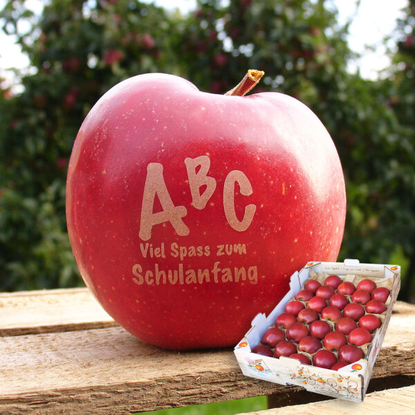 30 rote ABC-Schulanfang-Äpfel -Aktionspaket-