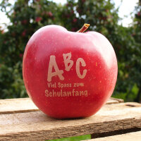 30 rote ABC-Schulanfang-Äpfel -Aktionspaket-
