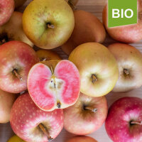Rotfleischige Mini-Bio-Äpfel 2kg