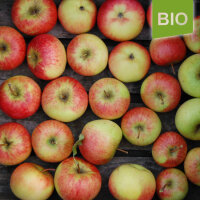 Bio-Apfel Rubinola
