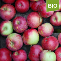Mc. Intosh Bio-Most-Äpfel 13kg
