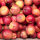 Mostäpfel 13kg krumme Früchte / Mc. Intosh