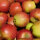 Braeburn Bio-Äpfel 3kg-Kiste
