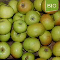 Fromms Goldrenette Bio-Äpfel 5kg