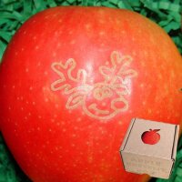 Apfel mit Branding Elchkopf|truncate:60