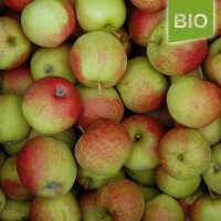 Clivia Bio-Äpfel 5kg|truncate:60