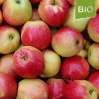 Bio-Apfel der Sorte Jonagold