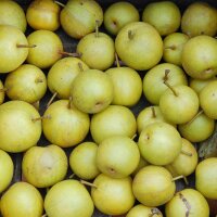 Apfelbirne Nashiki 2kg|truncate:60