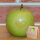 Apfel mit Branding Herz grün