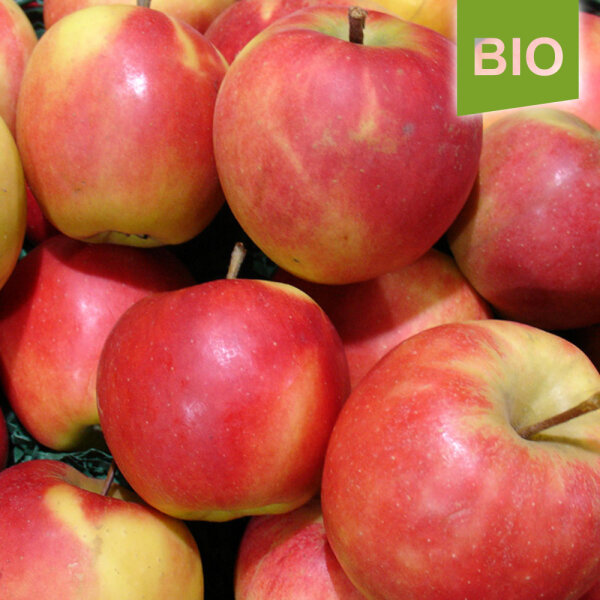 Bio Elstar Äpfel 6kg