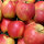 Bio Elstar Äpfel 6kg