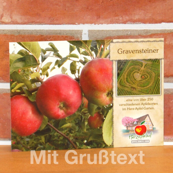 Grußkarte Gravensteiner Apfel
