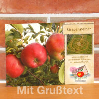 Grußkarte Gravensteiner Apfel|truncate:60
