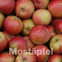 Mostäpfel, 13kg Bio-Rubinette-Saftäpfel|truncate:60