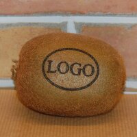 LOGO-Kiwi|truncate:60