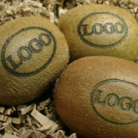 LOGO-Kiwi